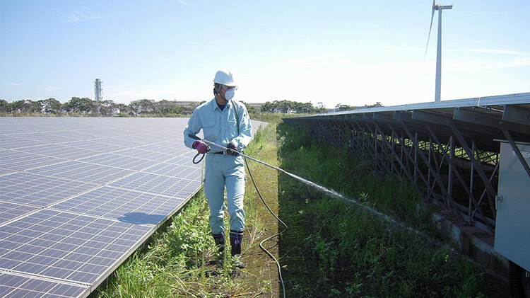 太陽光発電所除草剤散布